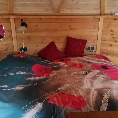 De Ganz Villa Grafhorst Dış mekan fotoğraf